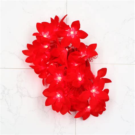 Big Red Flower 24 LED String Fairy Lights