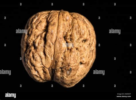 Image result for Programming Tutorials in a Nut Shell