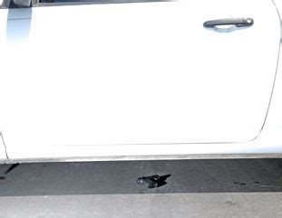 Using Flash Fill 的图像结果