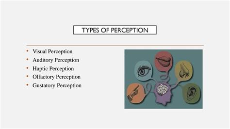 Image result for Different Types of Visual Perception