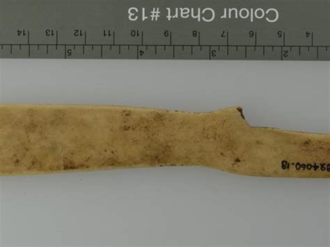 Clapper History 的图像结果