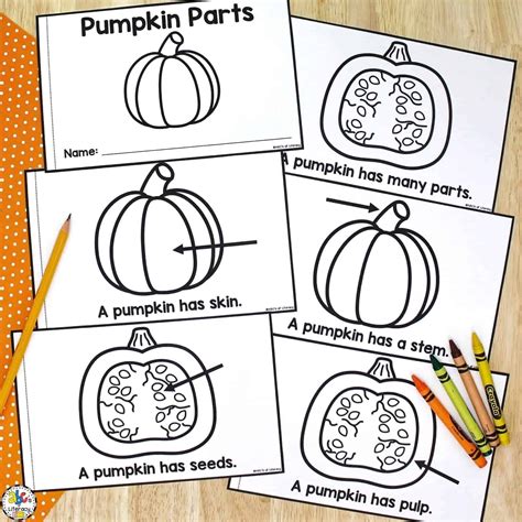 Life cycle of a pumpkin book – Artofit