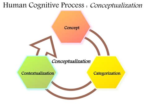 Human Cognitive Process 的图像结果