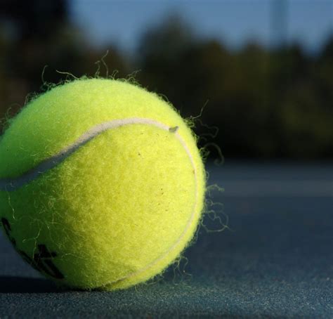 Are Professional Tennis Balls Bad For Dogs