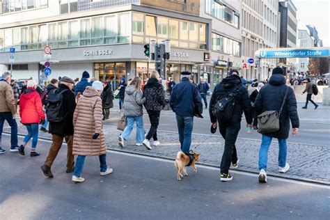 Germany's dual citizenship law put on hold - The Berliner