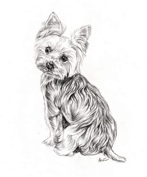 Image result for Thread Issue Examples