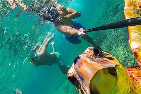 2024 (Hurghada) Intro Dive from Hurghada - Tripadvisor