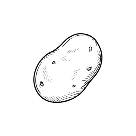 Image result for Potato Man Project Python Coding