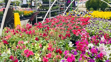 Image result for Lowe's Flower Garden