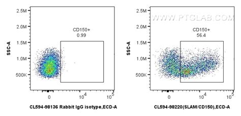 SLAM/CD150 antibody (CL594-98220) | Proteintech