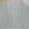 Write a short note on maximilion robespheir - Brainly.in