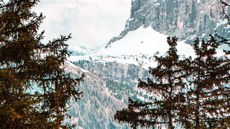 Download wallpaper 1600x900 forest, trees, mountains, snow, landscape ...