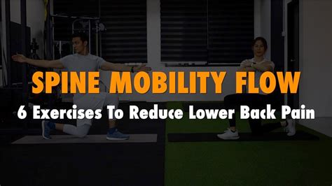 Image result for Multifidus Exercises