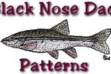 Image result for Dace Patterns