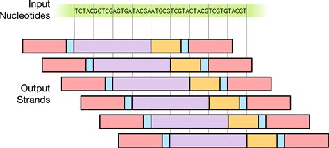 DNA Storage CodeChef Solution 的图像结果