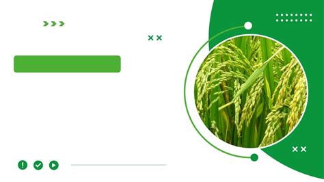 Agriculture Ppt Background 的图像结果