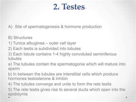 Male Reproductive System Disorders 的图像结果