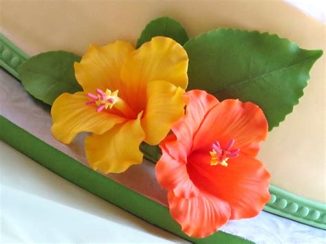 Image result for Gumpaste Hibiscus Tutorial
