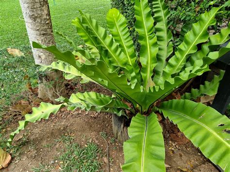 Classification Science P6 的图像结果