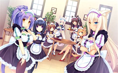 Nekopara, Chocola (Nekopara), Shigure Minaduki, Maple (Nekopara), Anime ...