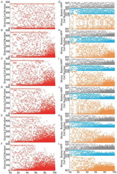Mechanisms Underlying Hyperexcitability: Combining Mossy Fiber ...