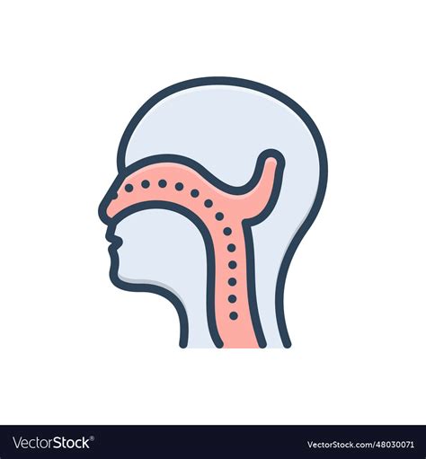 Image result for String ENT