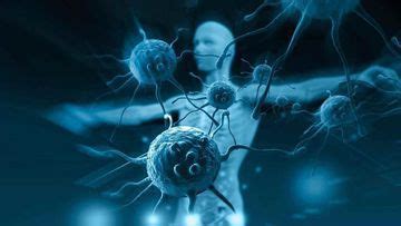 Website Search | Pediatric Oncall