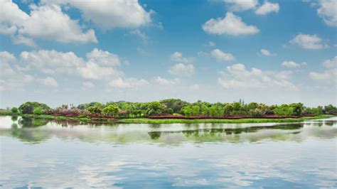 Top 10 Countries In The World With Most Rivers - Who Is At Top? Check ...