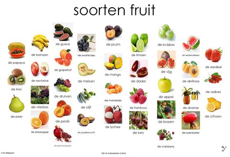 Soorten fruit / Sortes de fruits | Fruit, Dutch language, Learn dutch