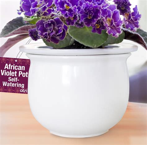 African Violet Pots Self Watering – 6.5”W x 4.6”H Ceramic Self Watering ...