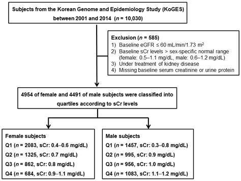 Upper Normal Serum Creatinine Concentrations as a Predictor for Chronic Kidney Disease: Analysis ...