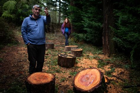 Image result for Portland Oregon Prepper