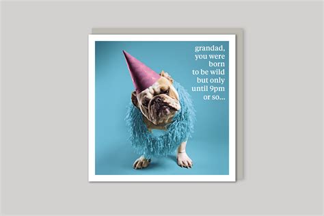Curious World Greeting Cards | Icon