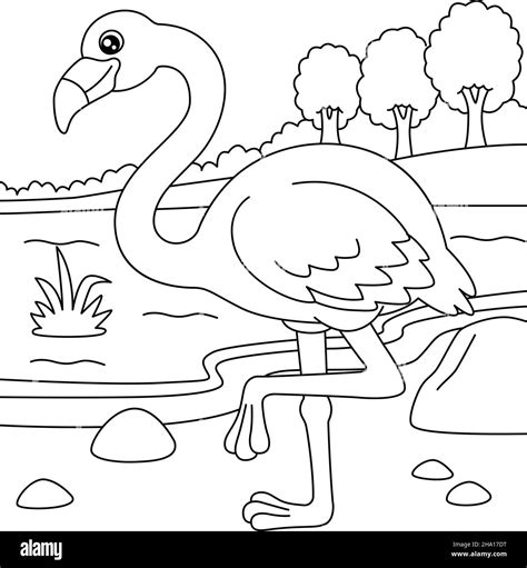 Coloring Pages Flamingo