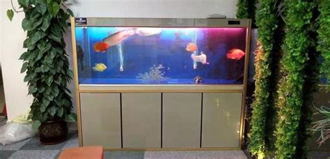 鱼缸放在客厅什么位置最好(家庭鱼缸的最佳摆放位置)-风水人