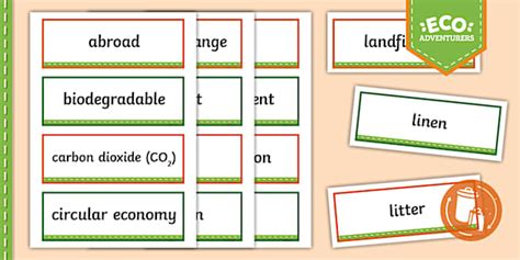 Year 4 Waste: Key Vocabulary Cards (teacher made) - Twinkl