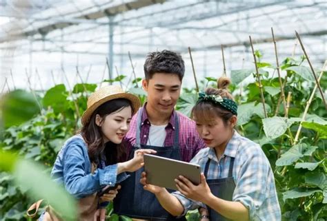 API Testing with Cucumber Sample Project 的图像结果