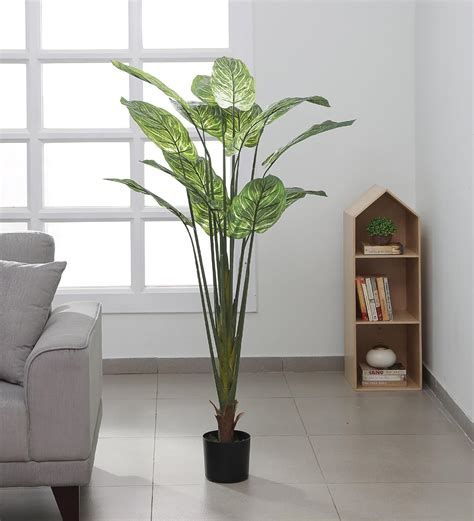 Buy ARICK DECOR 60 inch Artificial Dieffenbachia in Pot 5ft Tall ...