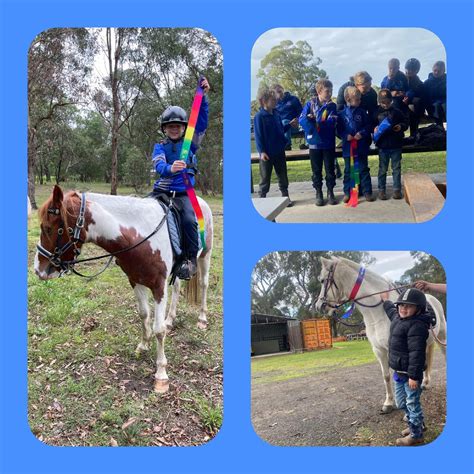 Toongabbie Winter Woolies Gymkana, Heywood St, Toongabbie, VIC ...