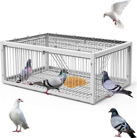 Amazon.com: PAUQRWIE Pigeon Trap Cage Bird Traps for Small Birds ...