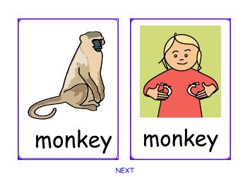 Monkeys Learning Sign Language 的图像结果