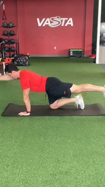 Image result for Contralateral Extremity