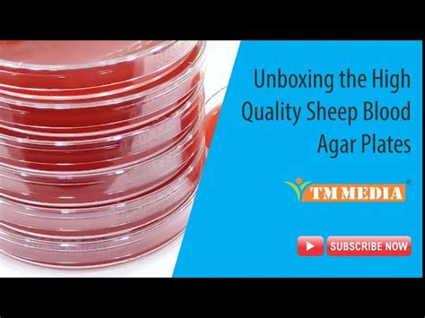 Laboratory & Pharmaceutical Machines - Plamumab Adalimumab 40mg Inj ...