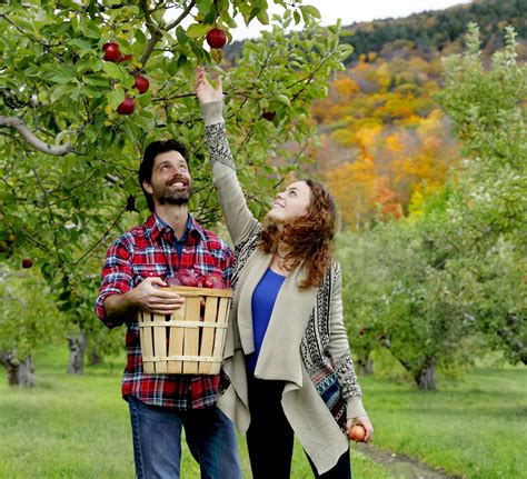 Fall Apple Picking
