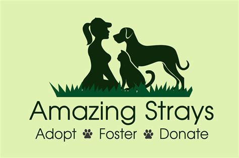 Dog Rescue | Amazing Strays Rescue