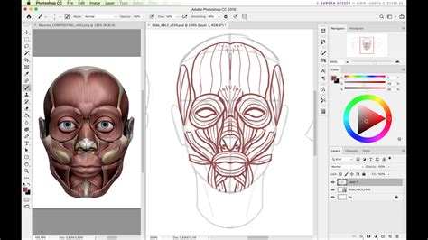 Muscle Head Model Computer Graphics Simulation 的图像结果