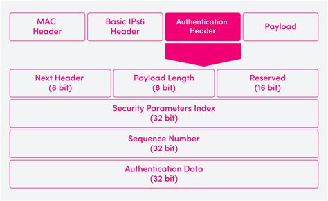 Image result for IPv4/IPv6 Security