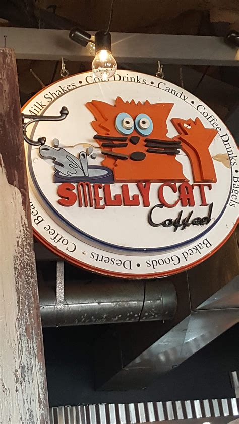 Smelly Cat Coffee & Roastery Charlotte, NC - David Musick