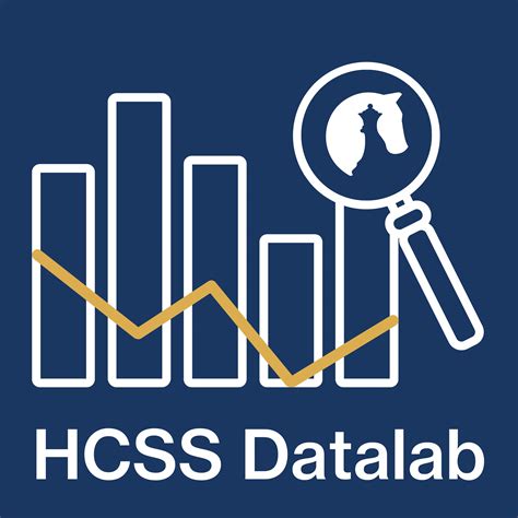 Hcss API Developer 的图像结果