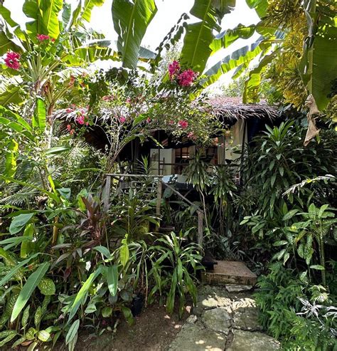 KAWAYAN VILLA SIARGAO (Catangnan) - Resort Reviews, Photos, Rate ...